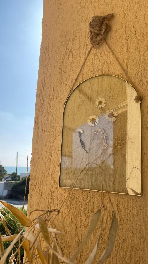 Koru House Torvaianica Villa Dış mekan fotoğraf